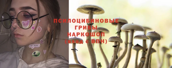 альфа пвп Богородицк