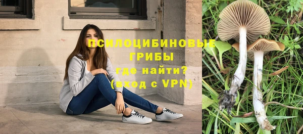 MDMA Богородск
