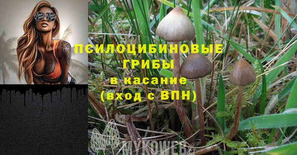 альфа пвп Богородицк