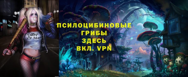 альфа пвп Богородицк